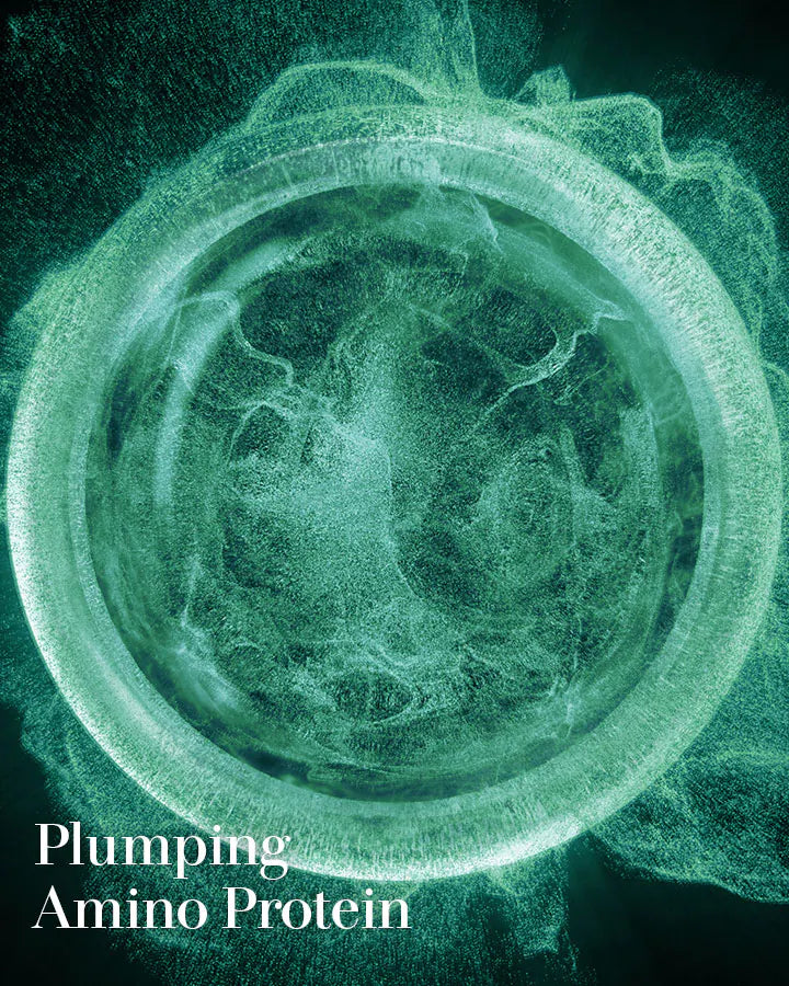 The Eye Concentrate • 15ml